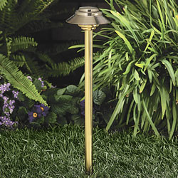 2161-BSN Stainless Brass Path And Spread Light