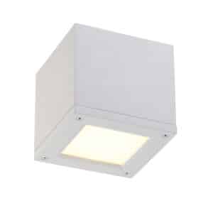 Rubix 3000k Ceiling Mount Light by Wac Lighting